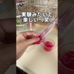 電気屋で買ったリップ作れるキットが予想以上だった